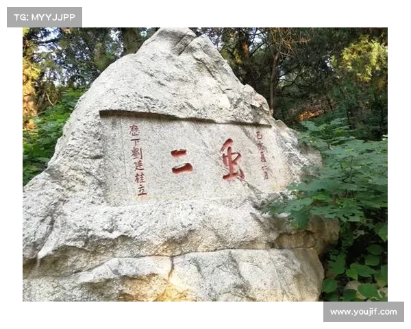 山东泰山独特训练方式的五大优点分析与实践价值探索