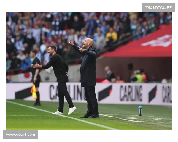 拜仁慕尼黑如何再度称霸德甲揭秘其背后的统治力量与成功秘诀